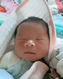 [34]牛嘉乐-登记信息-西风网络安全
