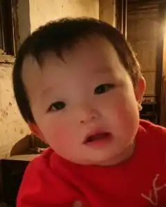[43]王文会-登记信息-西风网络安全