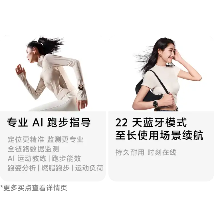 西风网络安全
