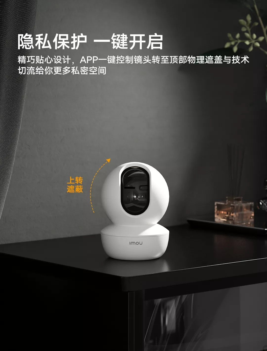 图片[11]-乐橙 摄像机-西风网络安全