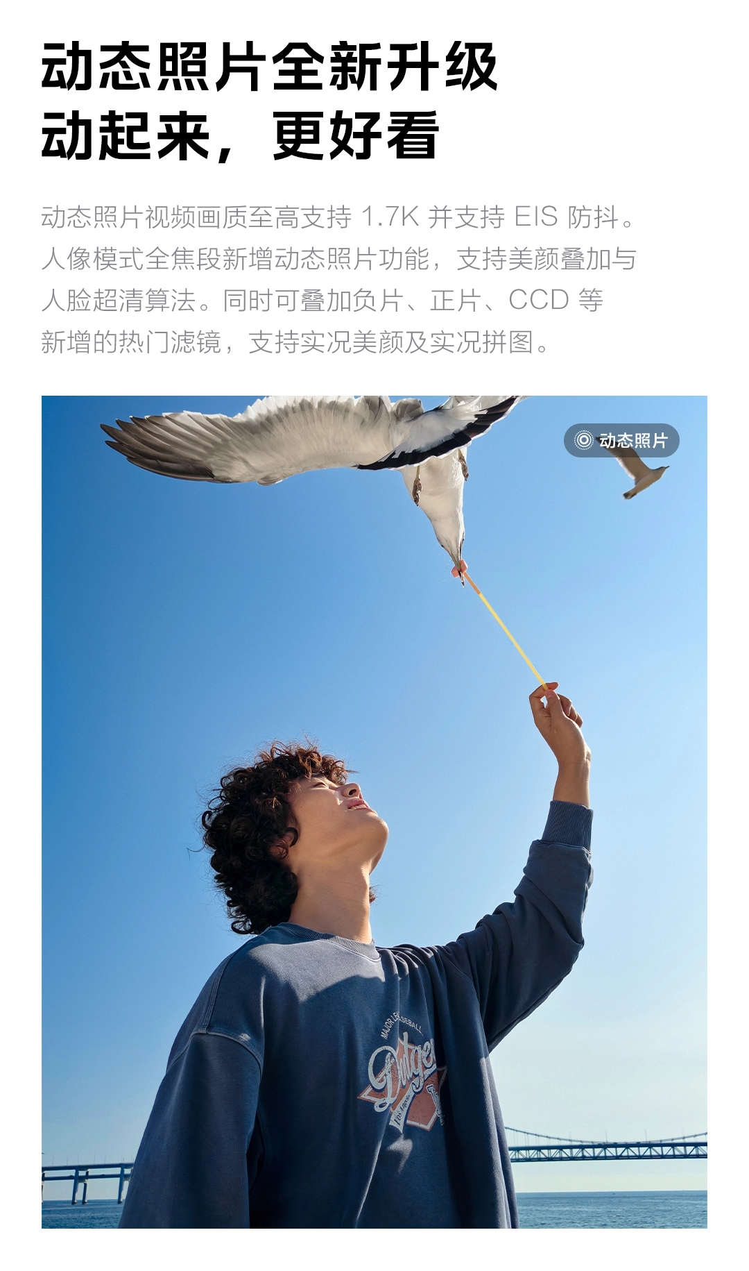 图片[23]-iQOO Neo11-西风网络安全