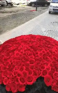 d2b5ca33bd20260915091808