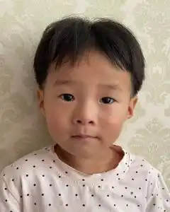 [67]崔语朵-登记信息-西风网络安全