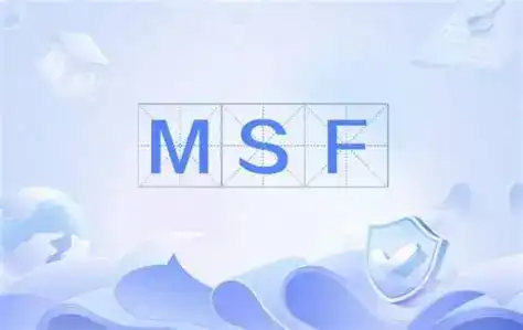 MSF有什么用-西风网络安全