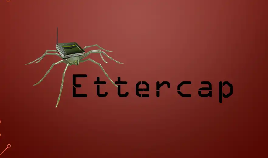 Ettercap工具-西风网络安全