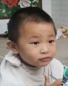 [97]高佳辰-登记信息-西风网络安全