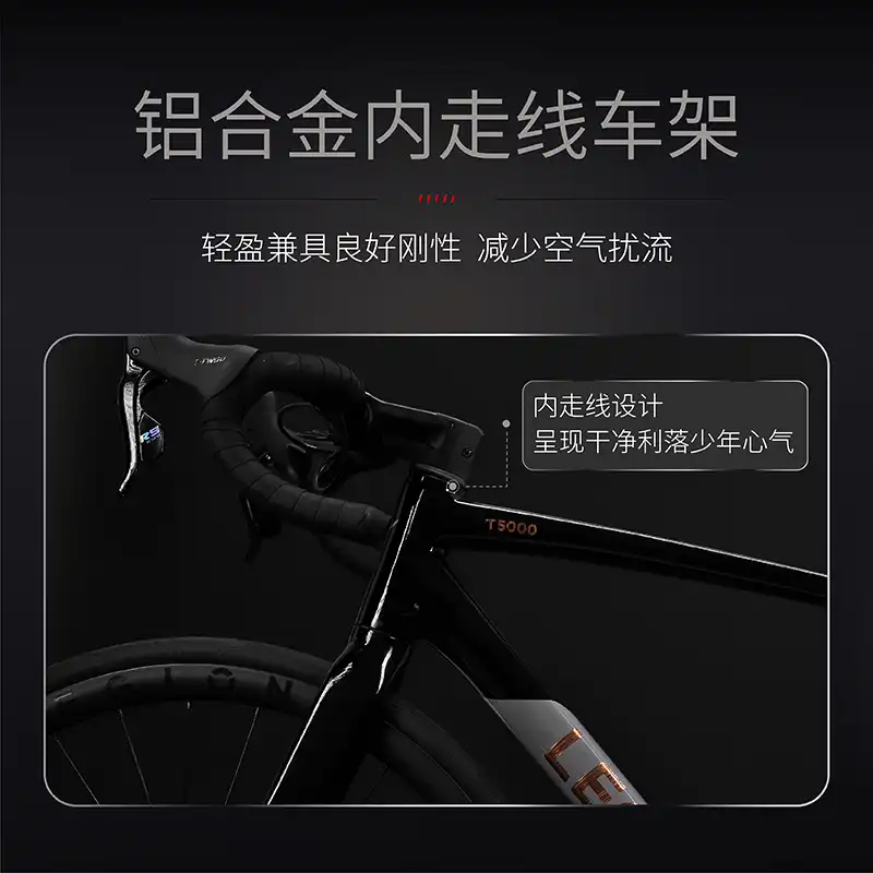 西风网络安全