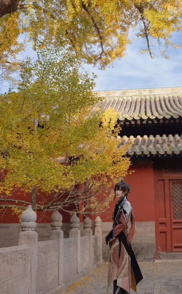 图片[11]-原神 钟离cos服-西风网络安全